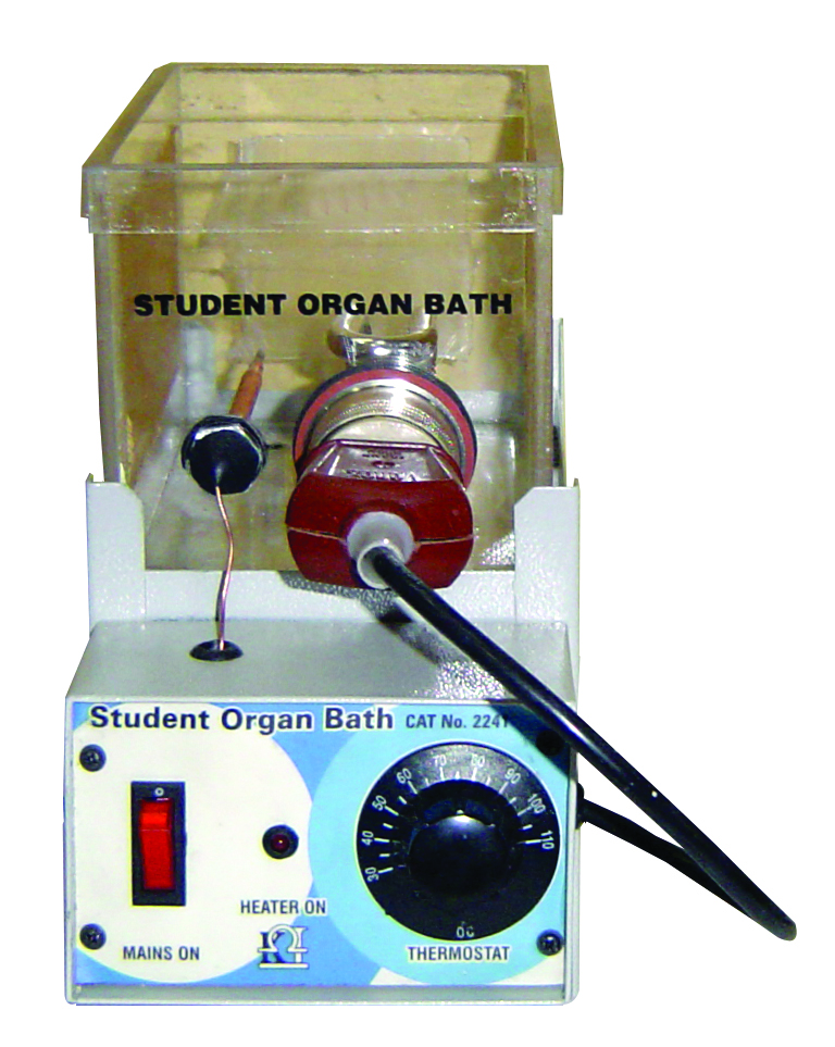  Student Organ Bath, Model No.: KI- 2241